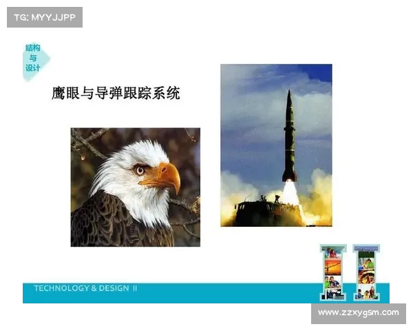 鹰眼系统在现代军事与智能监控中的应用与发展前景分析 鹰眼系统在现代军事与智能监控中的应用与发展前景分析